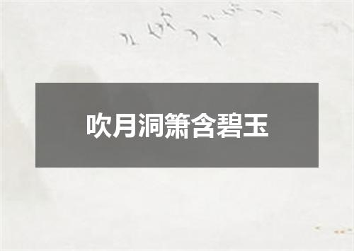 吹月洞箫含碧玉
