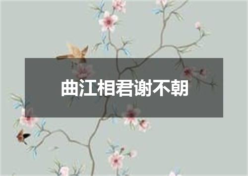 曲江相君谢不朝
