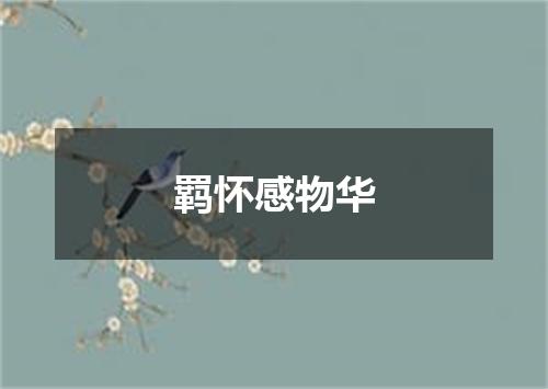 羁怀感物华