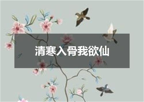 清寒入骨我欲仙