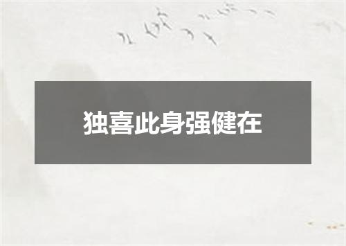 独喜此身强健在