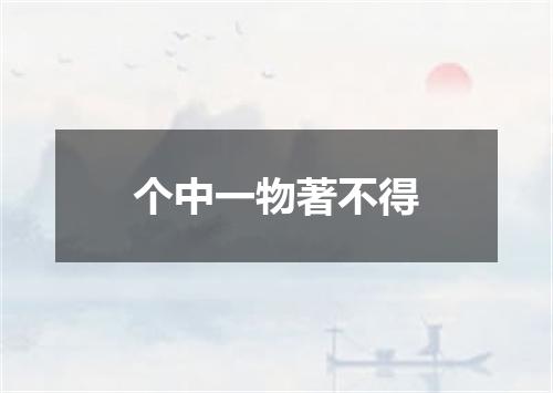 个中一物著不得
