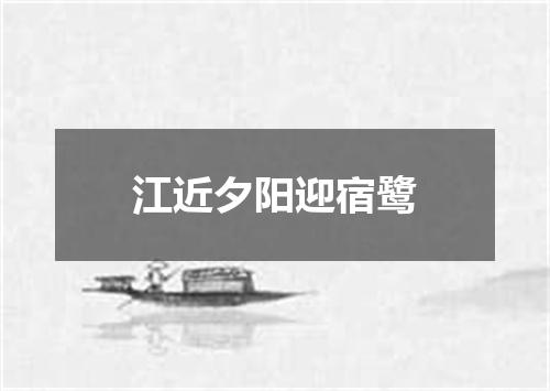 江近夕阳迎宿鹭