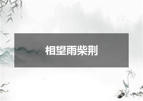 相望雨柴荆