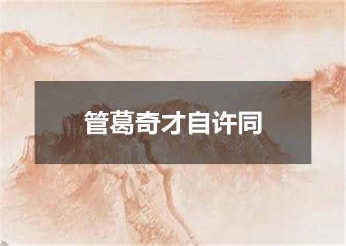 管葛奇才自许同