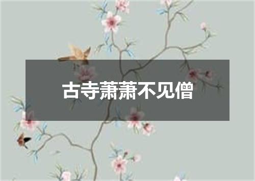 古寺萧萧不见僧