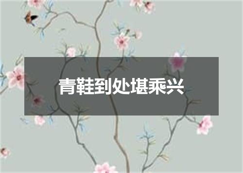 青鞋到处堪乘兴
