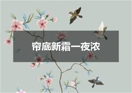 帘底新霜一夜浓