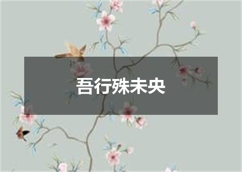 吾行殊未央