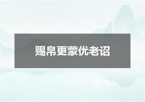 赐帛更蒙优老诏
