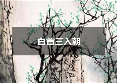 白首三入朝