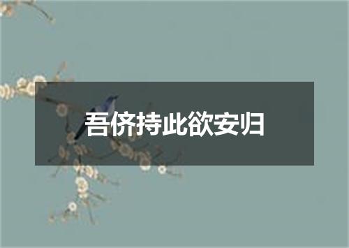 吾侪持此欲安归