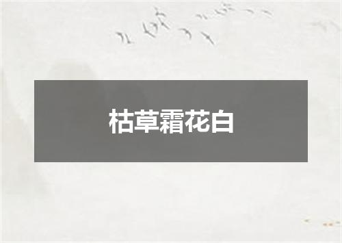 枯草霜花白