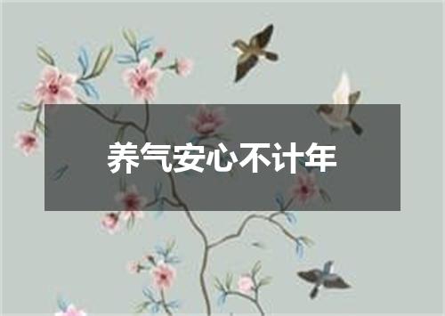 养气安心不计年