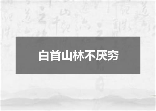 白首山林不厌穷