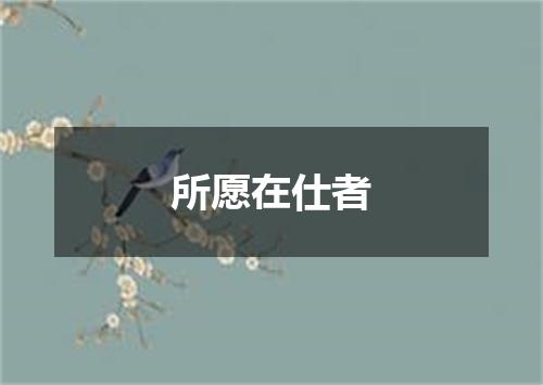 所愿在仕者