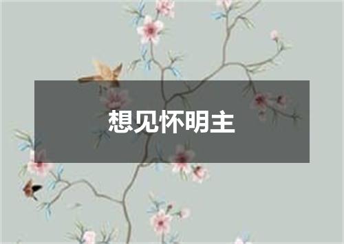 想见怀明主