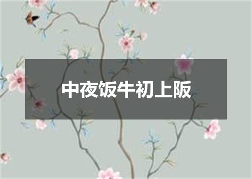 中夜饭牛初上阪