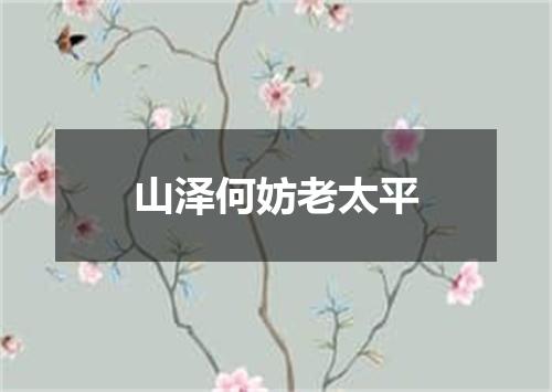 山泽何妨老太平