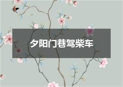 夕阳门巷驾柴车