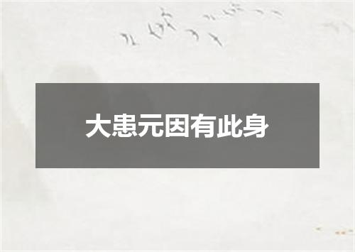 大患元因有此身