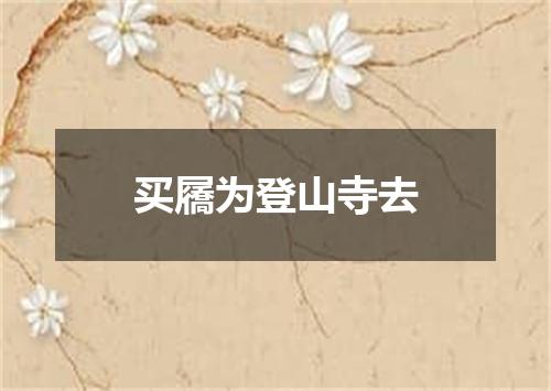 买屩为登山寺去