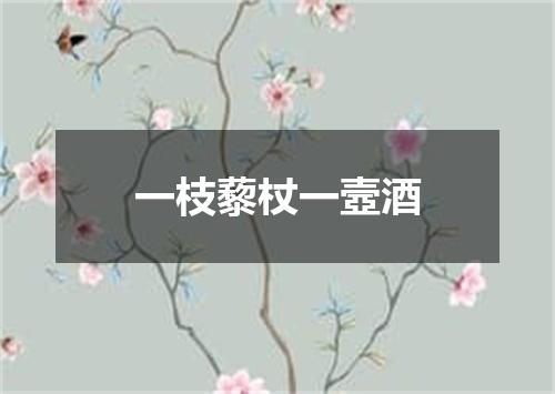 一枝藜杖一壼酒