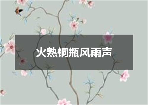火熟铜瓶风雨声
