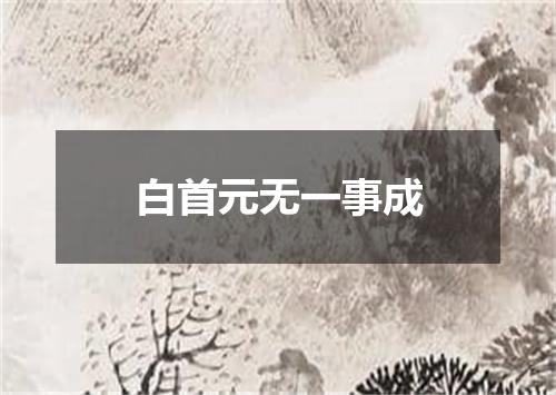白首元无一事成