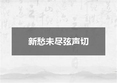 新愁未尽弦声切