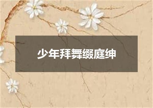 少年拜舞缀庭绅