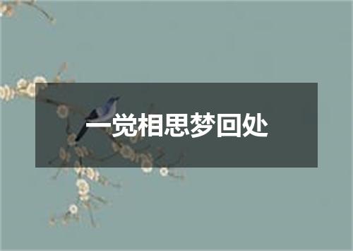 一觉相思梦回处