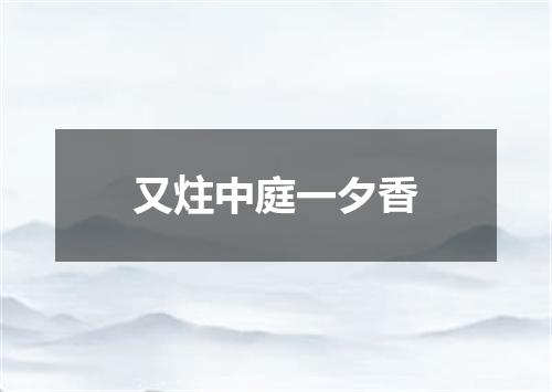又炷中庭一夕香
