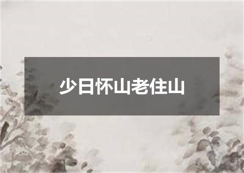 少日怀山老住山