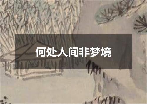 何处人间非梦境