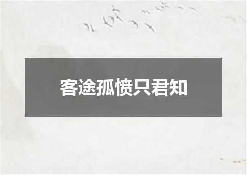 客途孤愤只君知