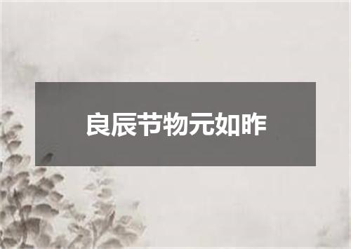 良辰节物元如昨