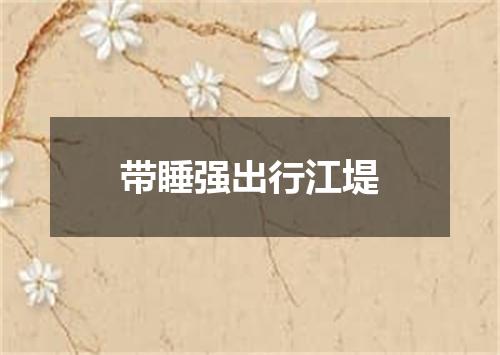 带睡强出行江堤