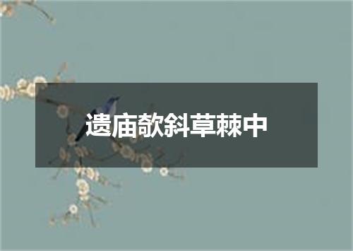 遗庙欹斜草棘中