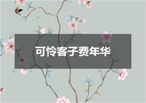 可怜客子费年华