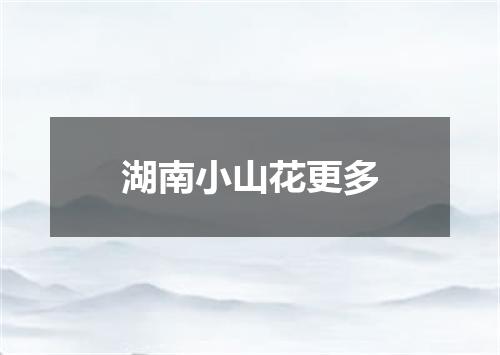 湖南小山花更多