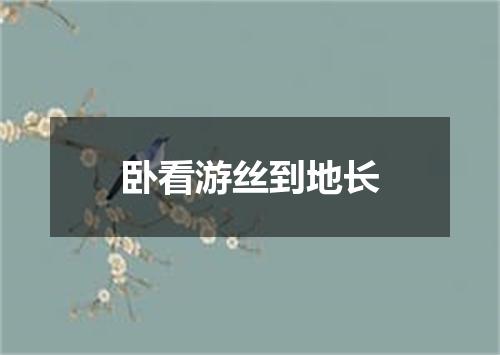 卧看游丝到地长
