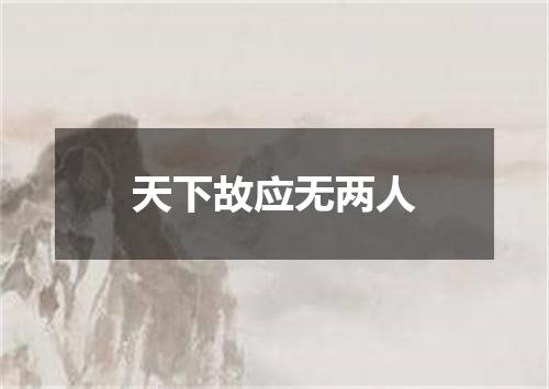 天下故应无两人