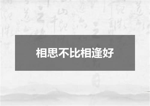 相思不比相逢好