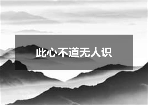此心不道无人识