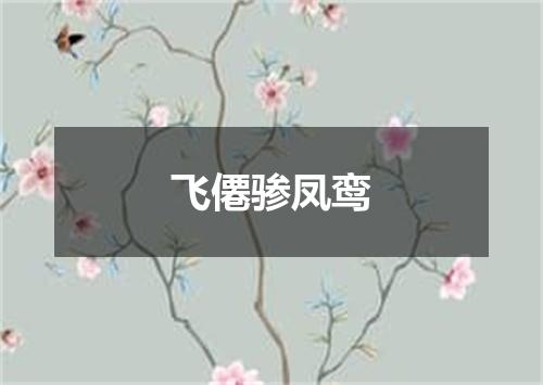 飞僊骖凤鸾