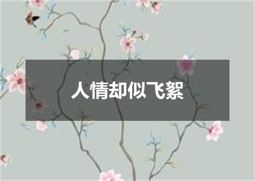 人情却似飞絮