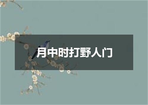 月中时打野人门