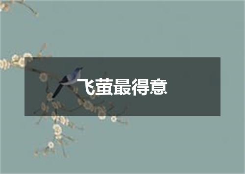 飞萤最得意