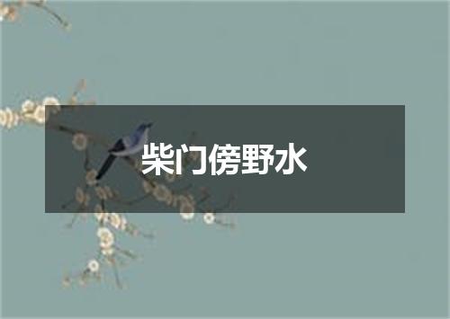 柴门傍野水